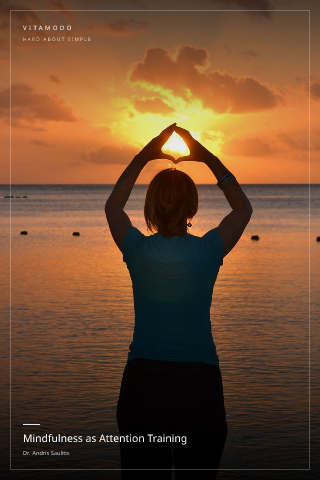 Mindfulness as Attention Training